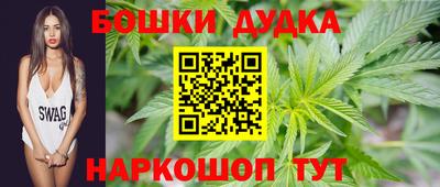 шишки Тверь