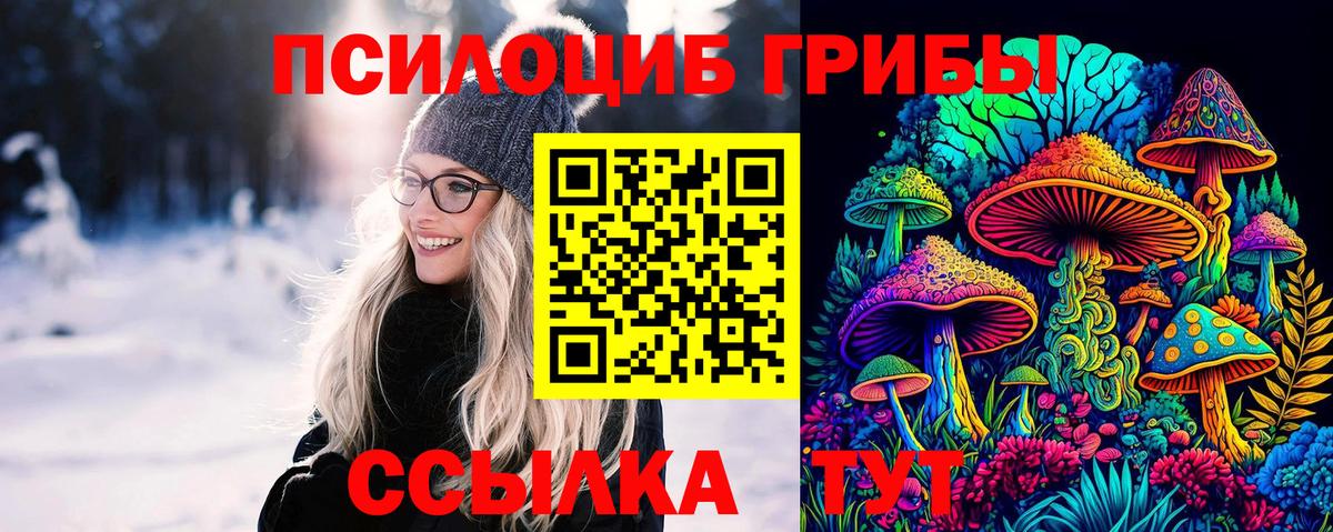 Галлюциногенные грибы ЛСД  Псилоцибиновые грибы ЛСД  Вход с VPN  Чехов 