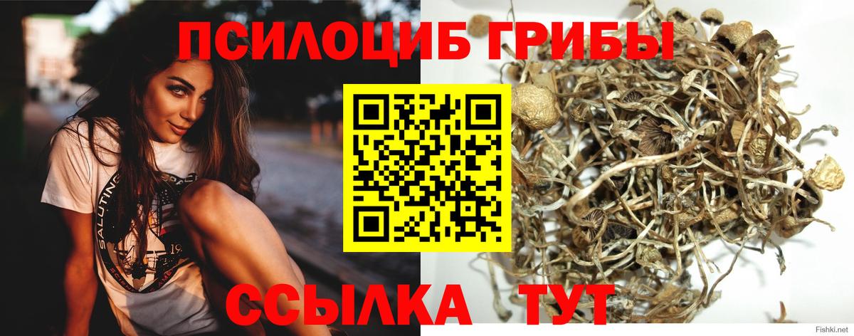  Кокаин Чехов