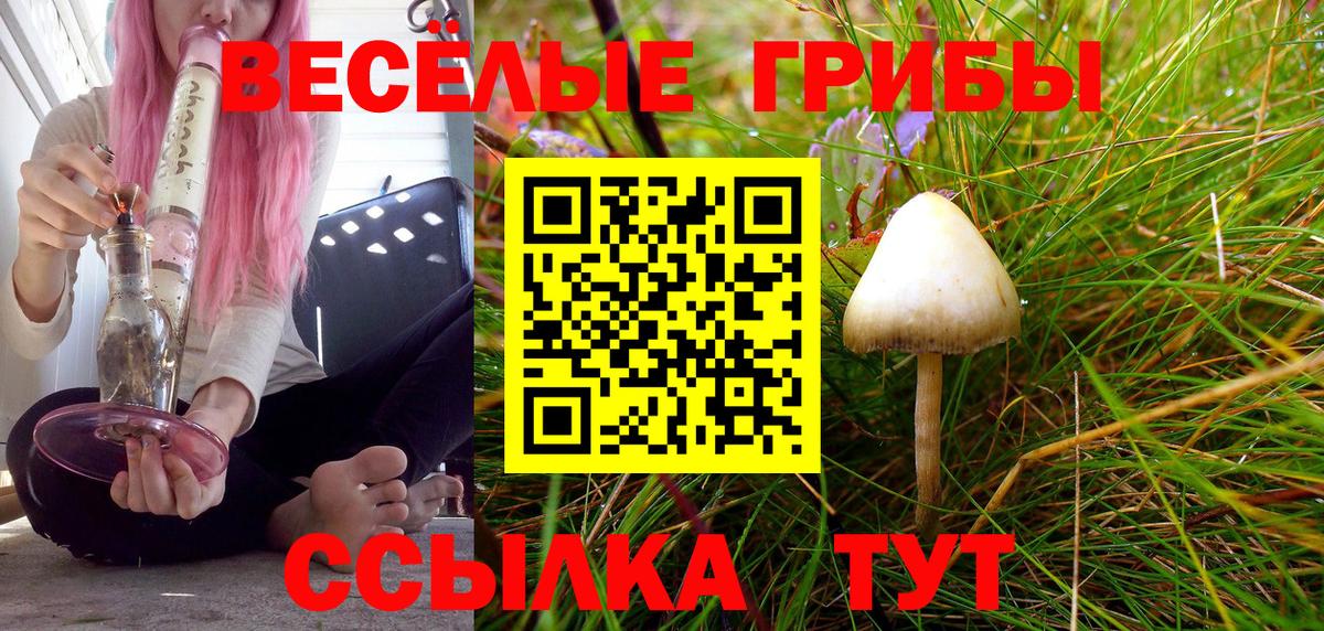 Галлюциногенные грибы ЛСД Чехов